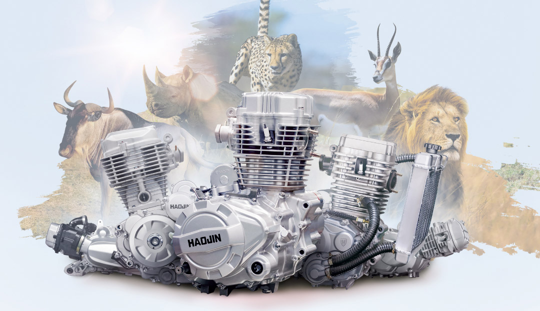 Advantages of Motors of Small Displacement